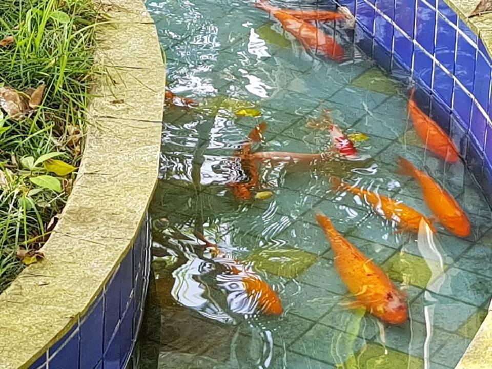 Morada Das Ilhas Boicucanga