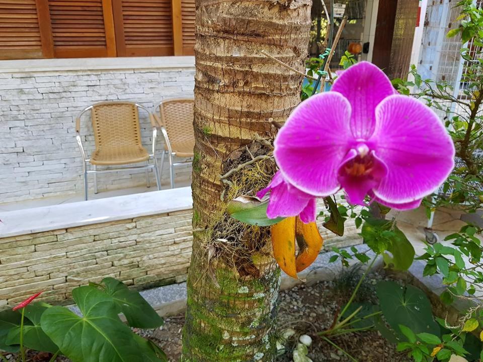 Inn Morada Das Ilhas *