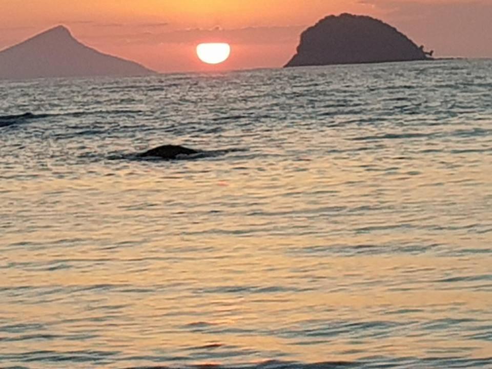 Morada Das Ilhas Inn