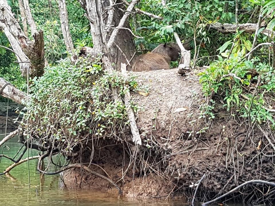 Inn Morada Das Ilhas Boicucanga